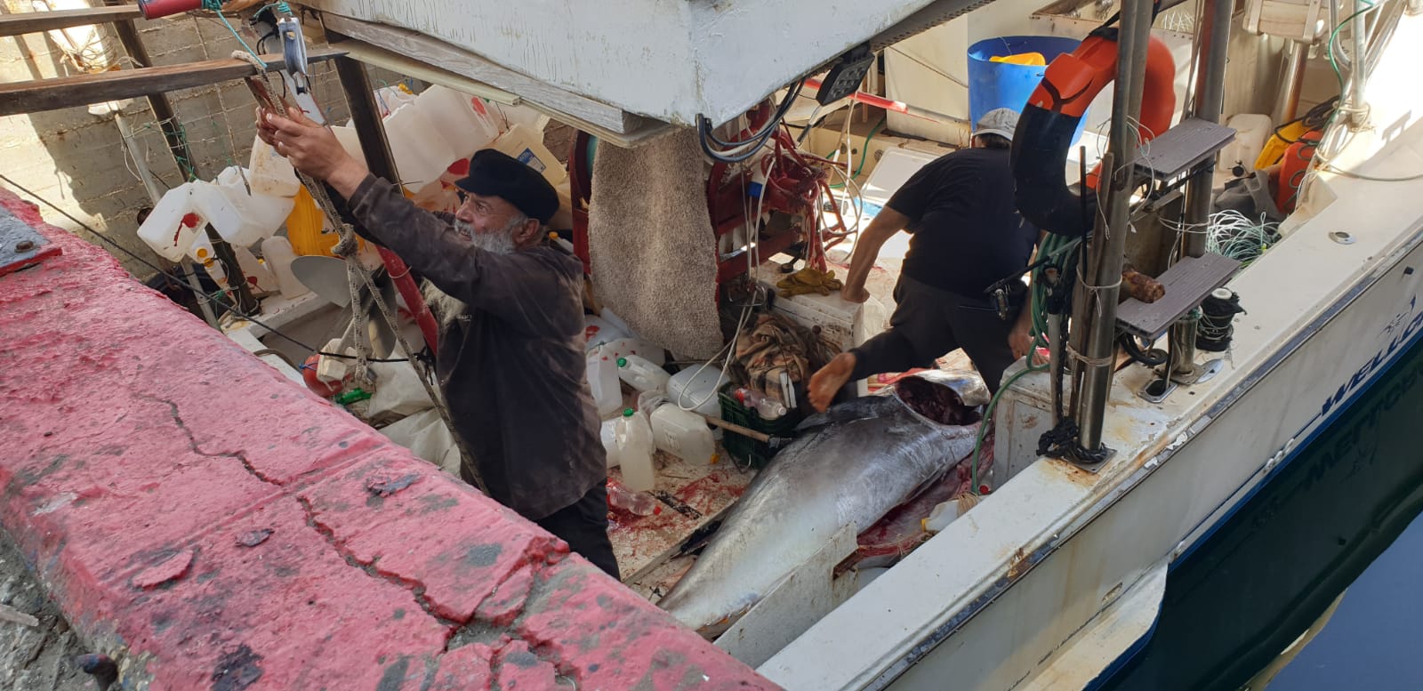 WhatsApp Image 2020-05-13 at 9.01.55 AM (2).jpeg.jpeg